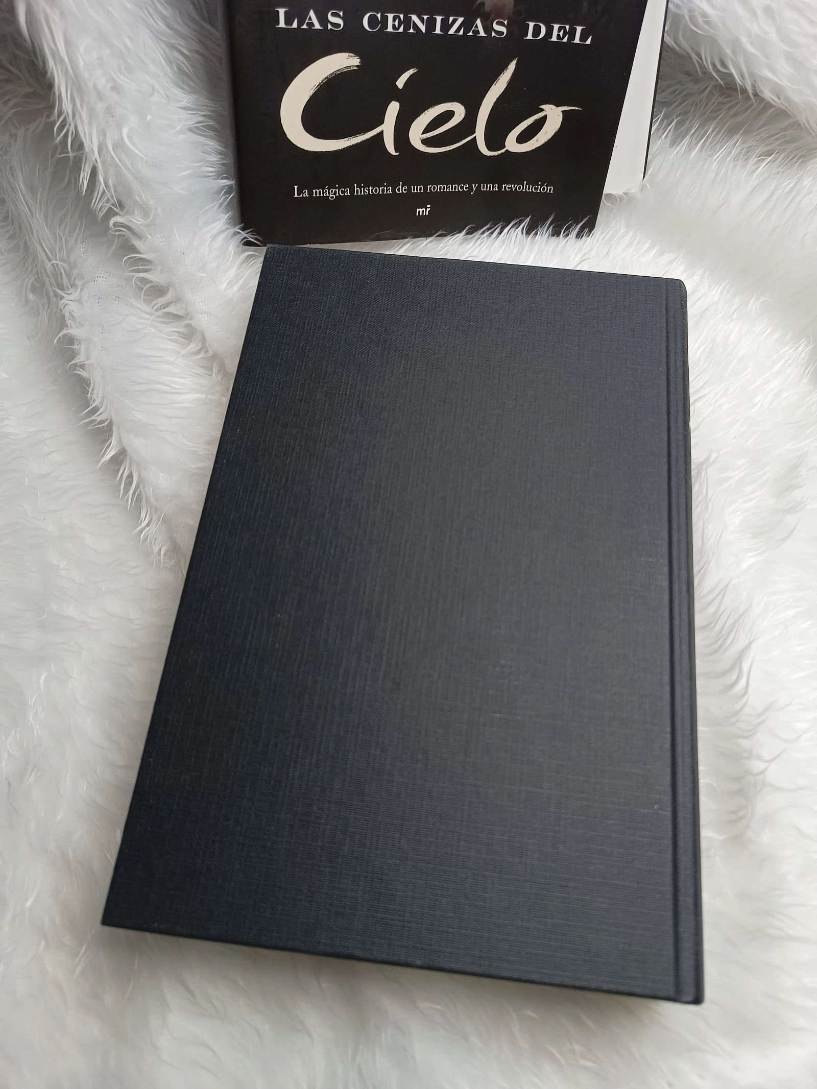 Boek De As van de Hemel – photo 8